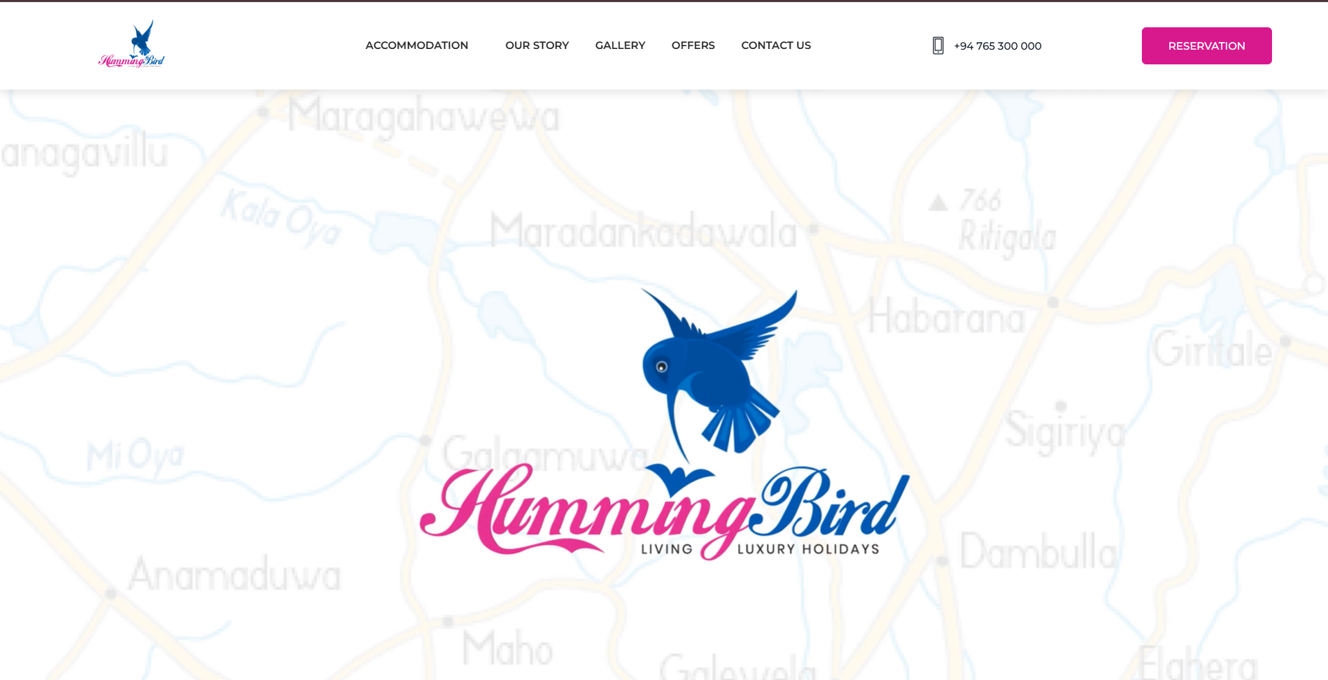 Humming Bird luxury hotel website project developed by D Tech
